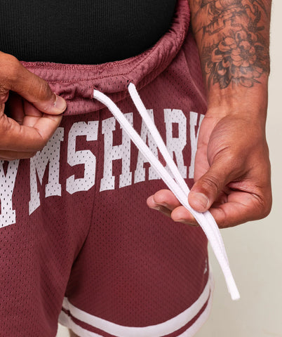 Varsity Mesh Shorts