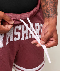 Varsity Mesh Shorts