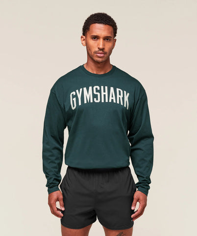 Worn Graphic Long Sleeve T-Shirt
