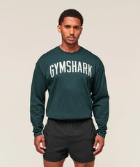Worn Graphic Long Sleeve T-Shirt
