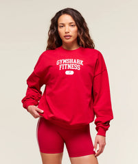 Varsity Graphic Pullover