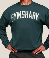 Worn Graphic Long Sleeve T-Shirt