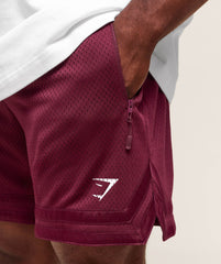 Varsity Mesh Shorts