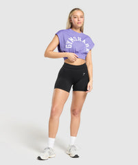 Mesh Graphic Crop Top