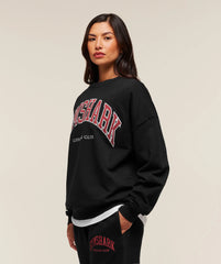 Collegiate Graphic Crew Neck Pullover