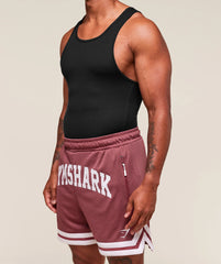 Varsity Mesh Shorts