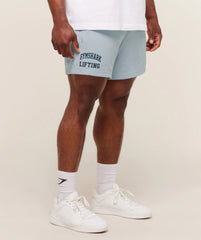 Lifting Mesh 5 Shorts