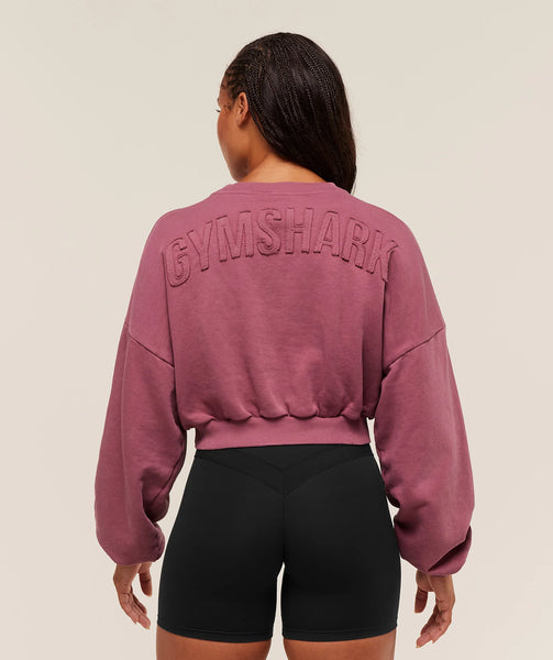 Power Washed Sweat Top