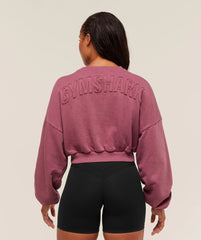 Power Washed Sweat Top