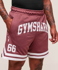 Varsity Mesh Shorts