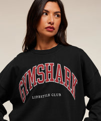 Collegiate Graphic Crew Neck Pullover