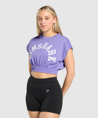 Mesh Graphic Crop Top