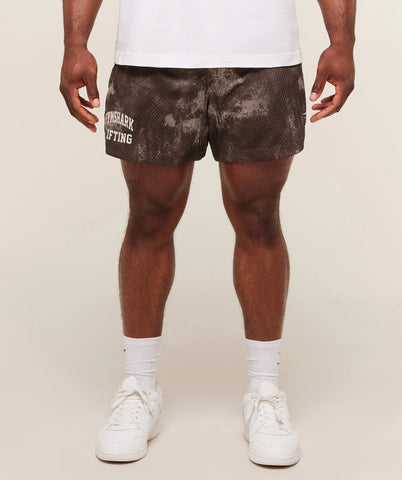 Lifting Mesh 5 Shorts