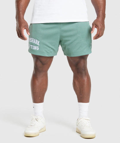 Lifting Mesh 5 Shorts