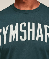 Worn Graphic Long Sleeve T-Shirt