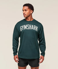 Worn Graphic Long Sleeve T-Shirt