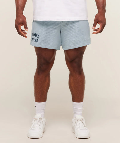 Lifting Mesh 5 Shorts