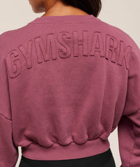 Power Washed Sweat Top
